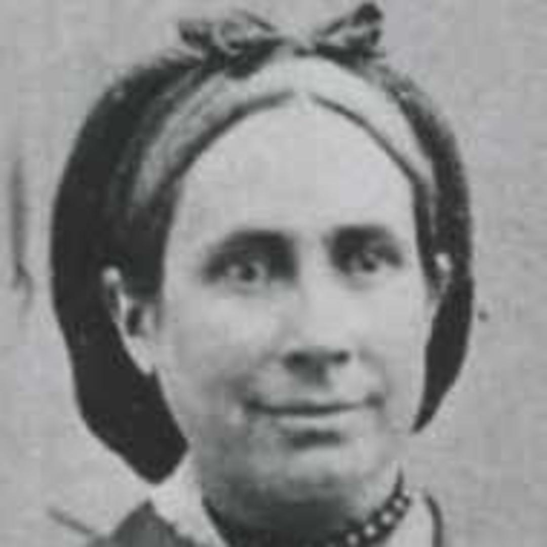 Mary Ann Emeline Davis (1831 - 1896) Profile